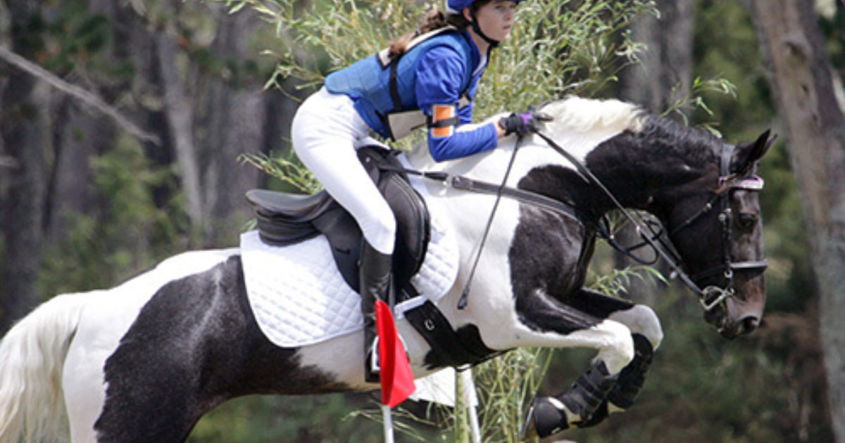 Equestrian Success Macleans College