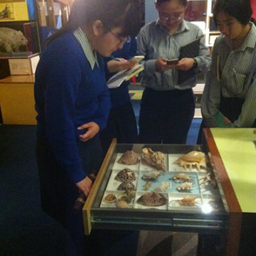 Esol Museum 03