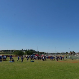 Picnic Day