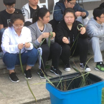 ESOL Junior Immersion Annual Marae Trip