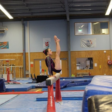 Nz Gymnastics03