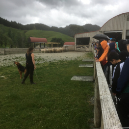 Esol Marae Trip 09