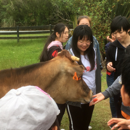 Esol Marae Trip 11