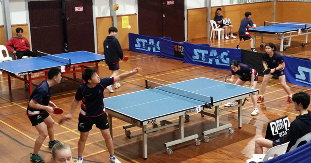 new table tennis