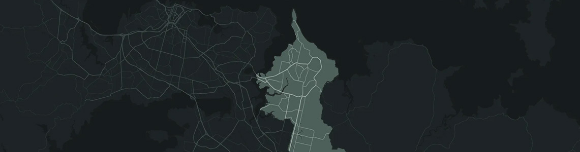 East Auckland Local Elections