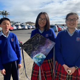 Matariki Kites 004