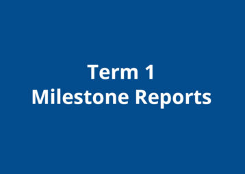 Term1 Milestone Reports
