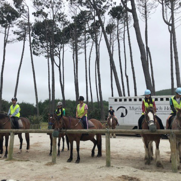 Ifps Summer Horse Riding 01