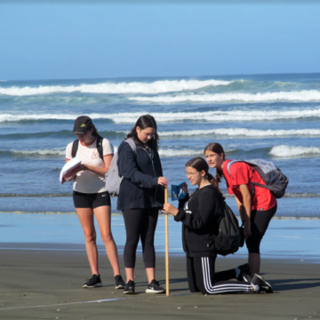 Geography muriwai 001