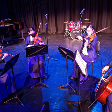 String quartet performace