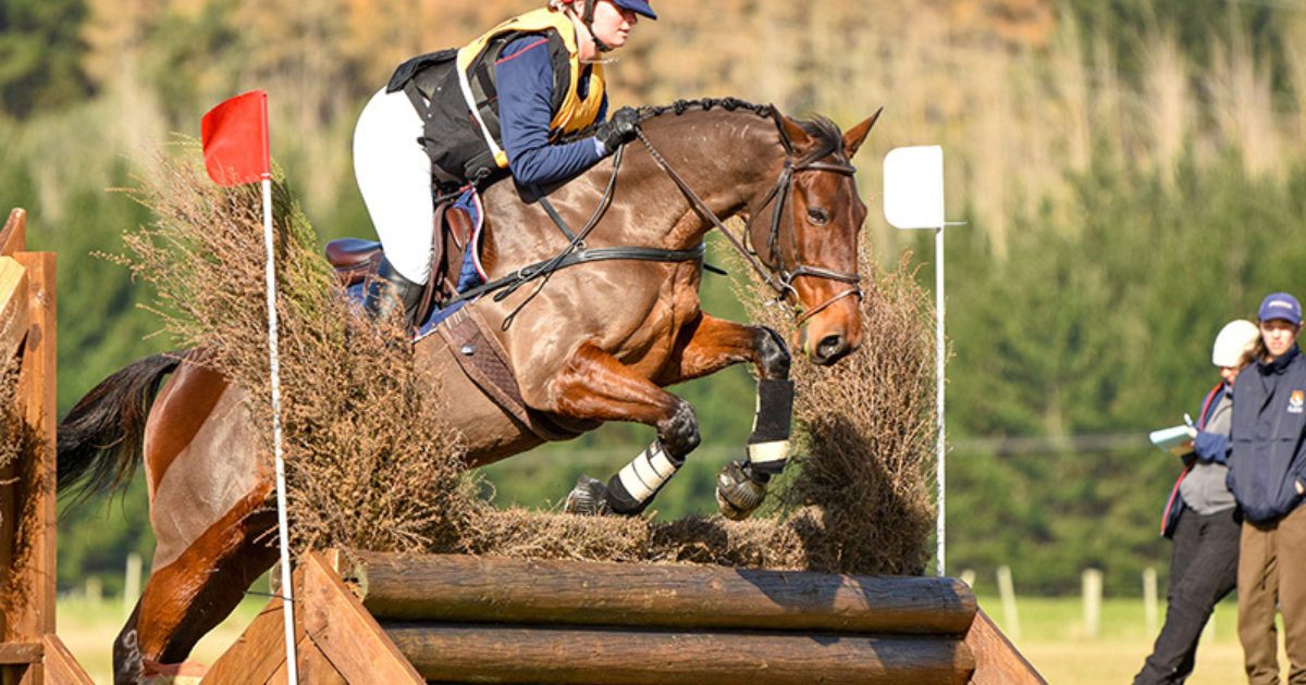 Riders produce excellent results at North Island Horse Trials