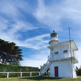 Tiritiri matangi 003