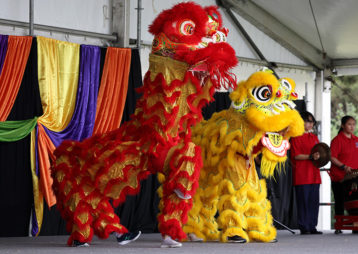 Chinese lion dance polyfest