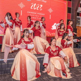 Chinese new year function 007