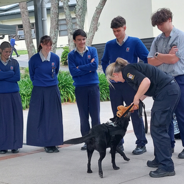 Detector dog 001