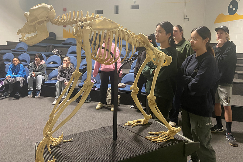 Biology students study evolution at Auckland Zoo - Macleans College