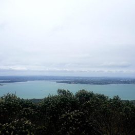 International summer rangitoto 002