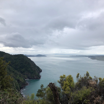 Challenge hike waitakere 004