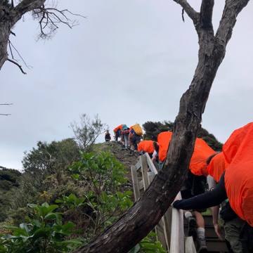 Challenge hike waitakere 007