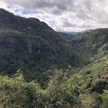 Challenge hike waitakere 009