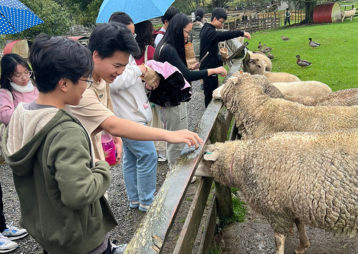 International students sheepworld thumb