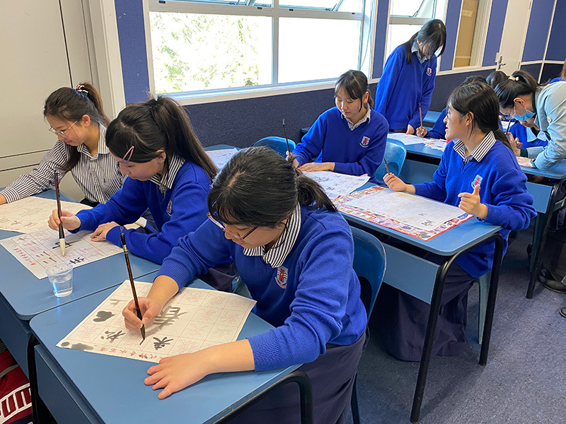 Ib School Language Week International Languages Week 2024: an emphatic success - Macleans College