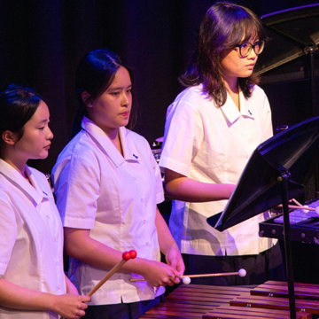 Eisteddfod bands showcase 003