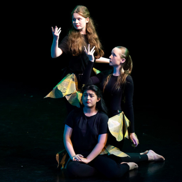 Performing arts showcase 010