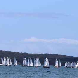 Auckland fleet racing 006