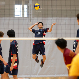 Auckland senior volleyball champs 004