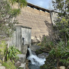 Geography waitakere dam 003