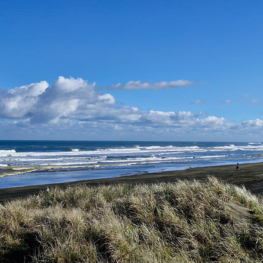 Muriwai beach rogaine 007