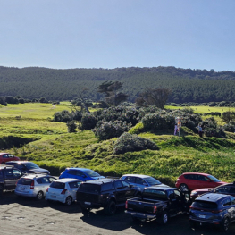 Muriwai beach rogaine 008