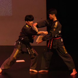 Night of intercultural 2025 010