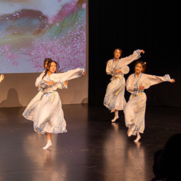 Night of intercultural 2025 016