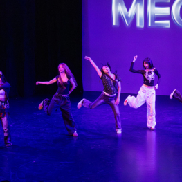 Night of intercultural 2025 024