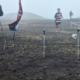 Orienteering niss 011