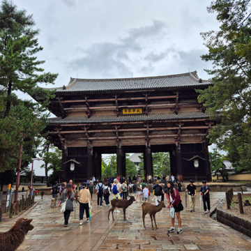 Ashiya gakuen exchange 2025 004