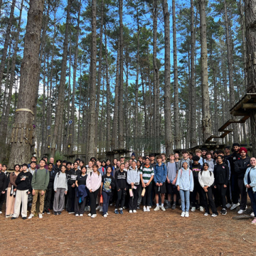 Business studies tree adventures 001