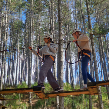 Business studies tree adventures 003