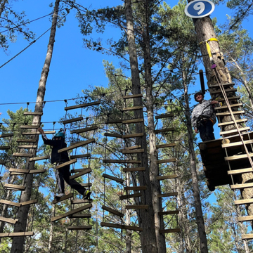 Business studies tree adventures 005