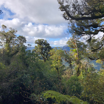 Challenge coromandel 005