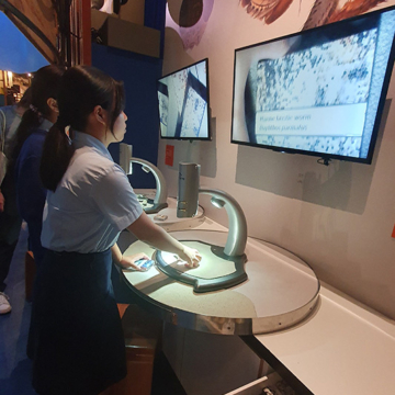 Esol museum 007