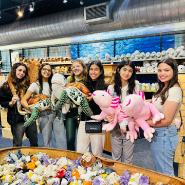 International students brazil 007