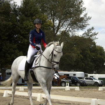 Niss dressage 001