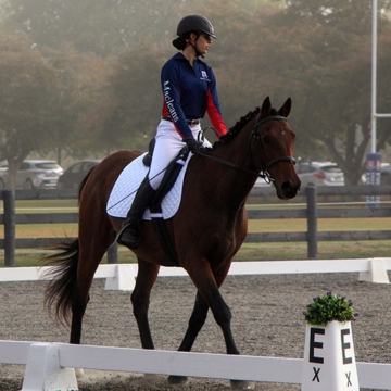 Niss dressage 002
