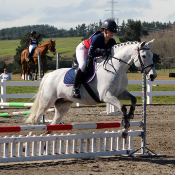 Tournament week equestrian 002