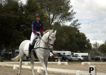 Niss dressage 001