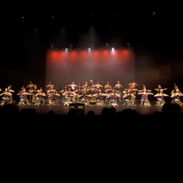 Macleans College Gala Concert 2026