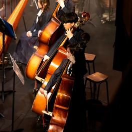 Macleans College Gala Concert 2026
